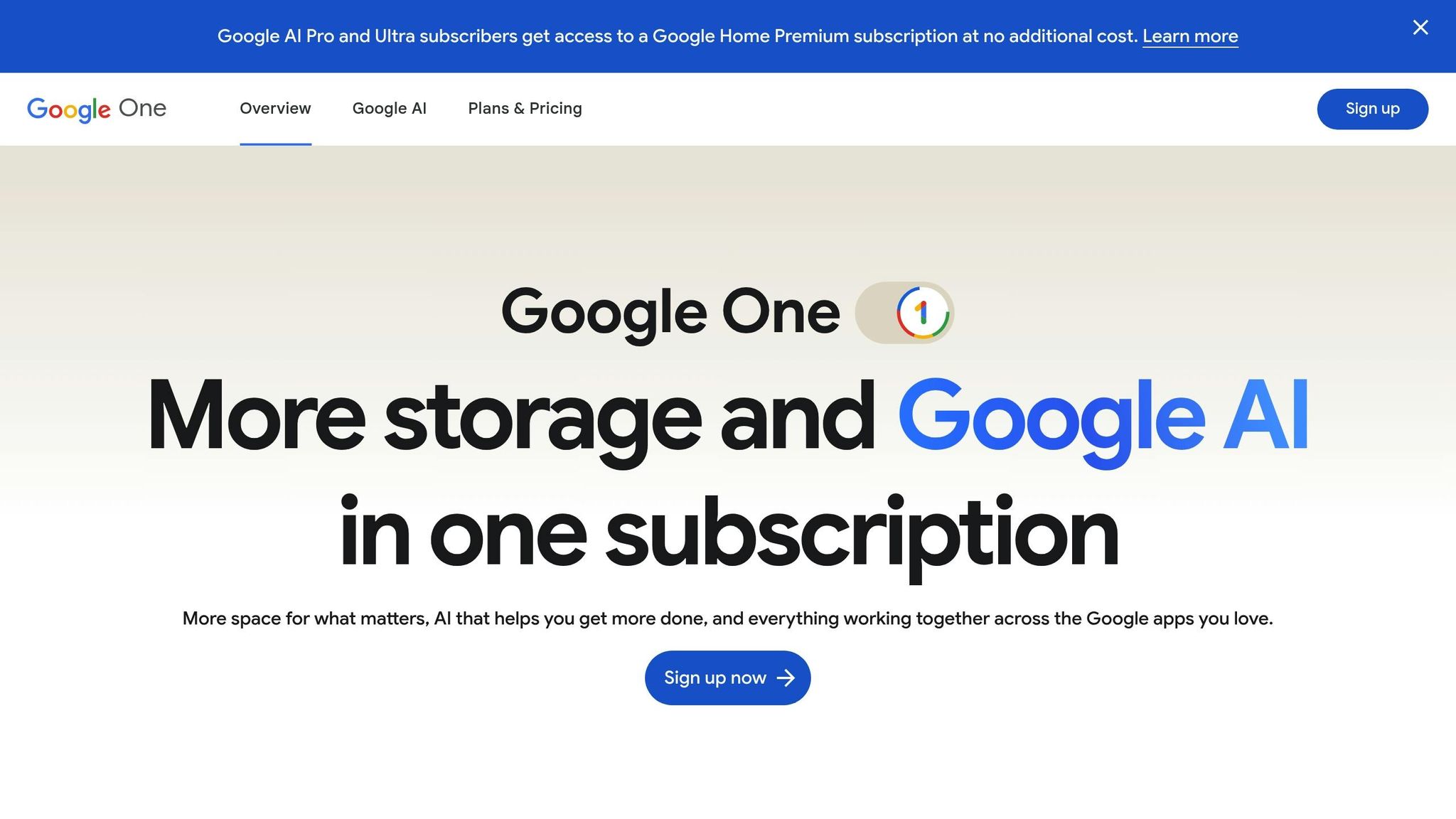 Google One