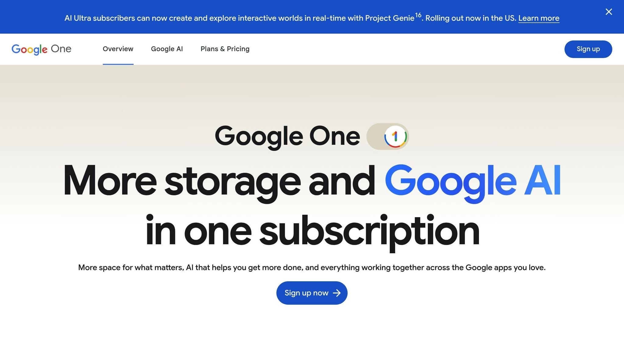 Google One